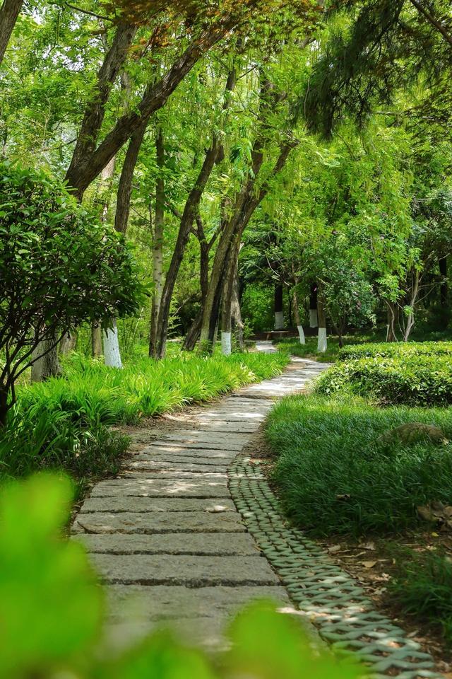 夏日清韵｜银河公园——藏不住的“城市绿肺”
