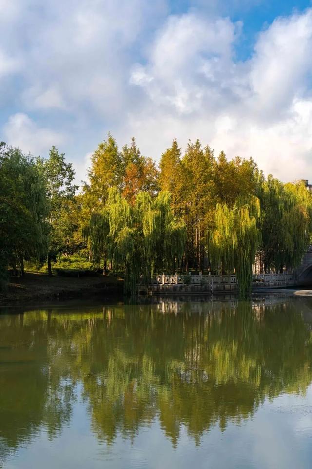 苏州的秋天，给你点“颜色”看看！