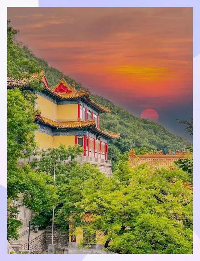 菊采芬芳蕊 诗留酩酊篇——千载盛景千佛山