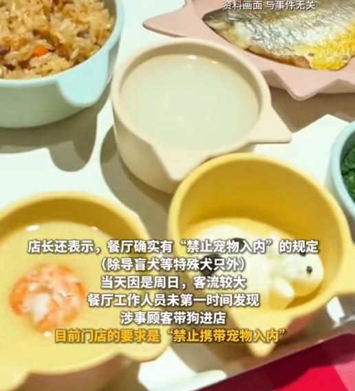 宠物狗饭店上桌吃肉？商家停业整顿，最新回应……
