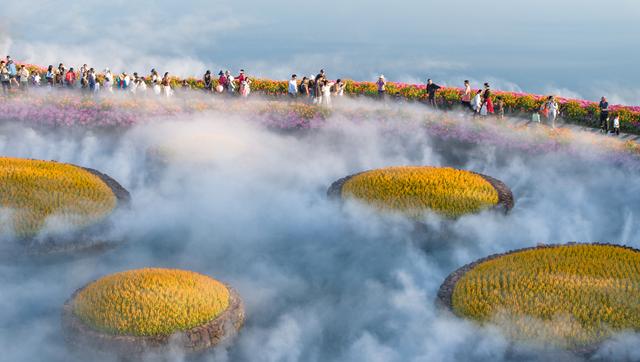广西南宁：水雾弥漫绚烂花海 市民乐享冬日浪漫