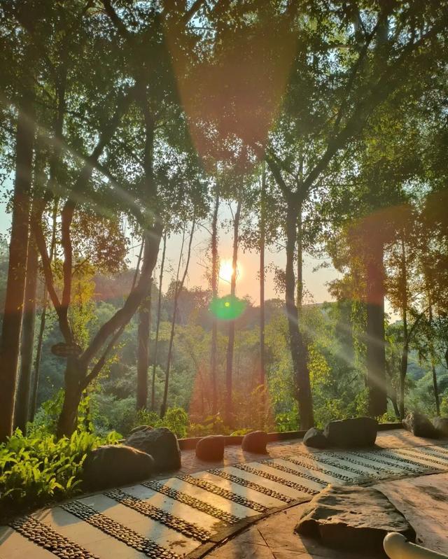 跟着赛事游鹤山！动起来！用运动方式打开鹤山～