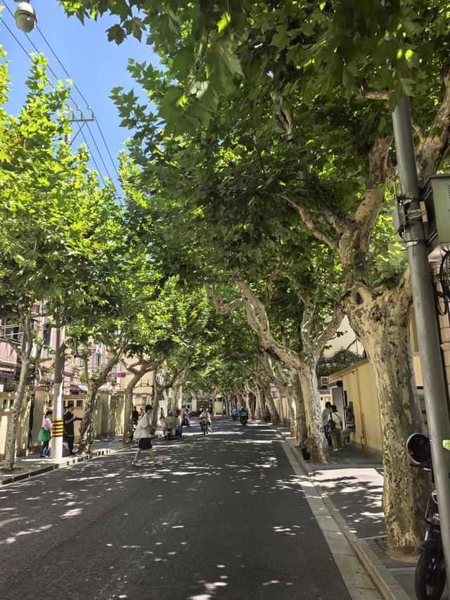 延庆路有多长