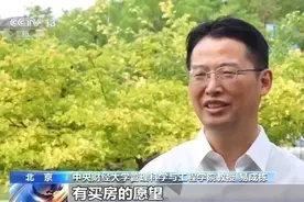 楼市为何现在要去库存？“以购代建”能去库存吗？专家解读→图片