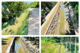 定安雷鸣镇集中排查整治水利沟渠损坏堵塞问题图片