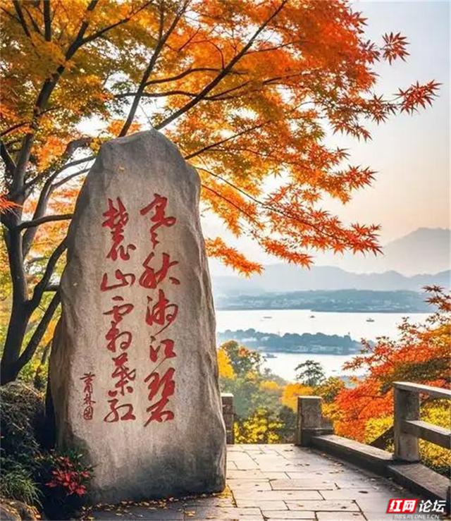 岁暖时刻丨为什么我们家三代都爱爬岳麓山？答案藏在一片红枫里