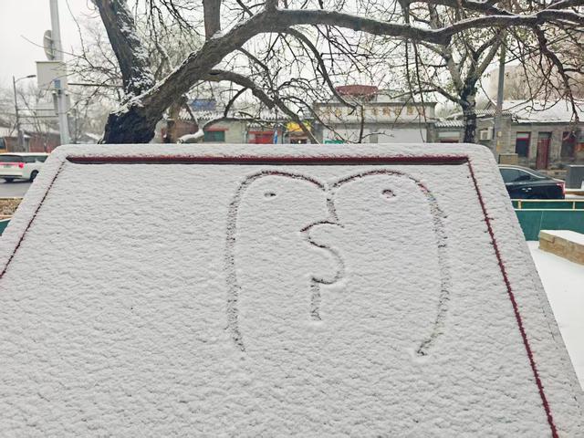 京城初雪如约而至！雪落无声，人游有影