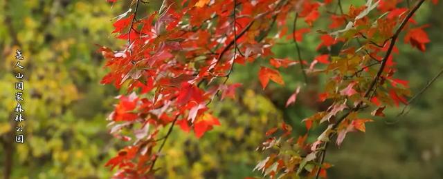 现在的黔南，已经美成这样了→