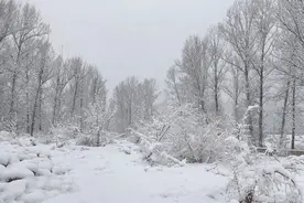 今早京郊多地变身冰雪世界，下周二起气温稳步回升图片