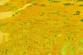 艺术类高校如何开展美育图片