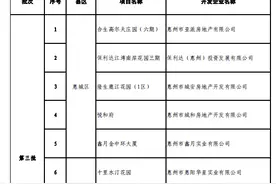 惠州楼市“白名单”项目已获授信逾百亿元，新项目出炉图片