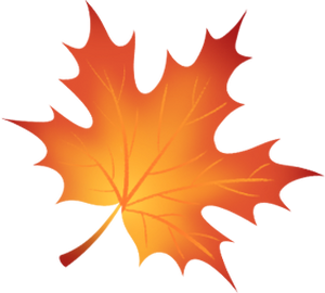 苏州的秋天，给你点“颜色”看看！