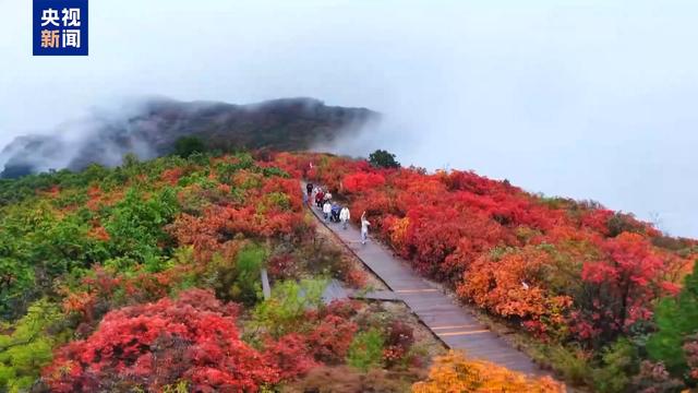 北方多地最美秋色已“上线” 一起感受浓浓秋韵