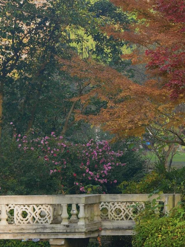 征集！武汉市民文旅大讲堂邀您共赴武汉植物园，开启一场冬日自然之约