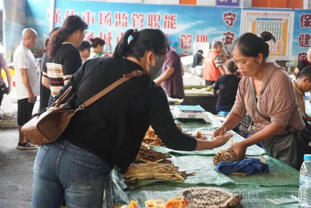 陇川：一座幸福满溢的边陲小城