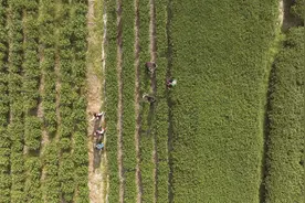 中信银行福州分行：“两张名片”助力谱写中国式现代化福建篇章图片