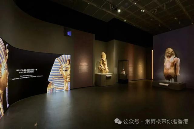 香港年度最重磅的文化盛事开放参观！