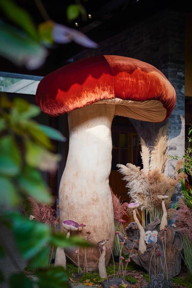 来东城这个胡同小院，邂逅蘑菇精灵的童话秘境——