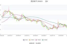 英杰电气：2024年上半年净利润1.78亿元 同比增长9.17%图片