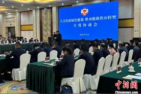 山东省政协委员建言绿色能源发展 刷新能源结构“含绿量”图片