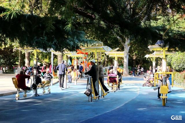 秋日海泊河公园：不必远寻，这里就有“推窗见绿、出门入园”休闲生活