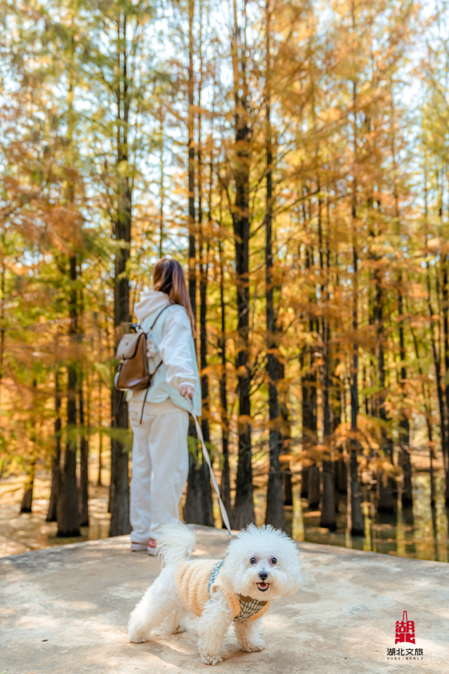 抓住晴天尾巴，徒步青龙山！