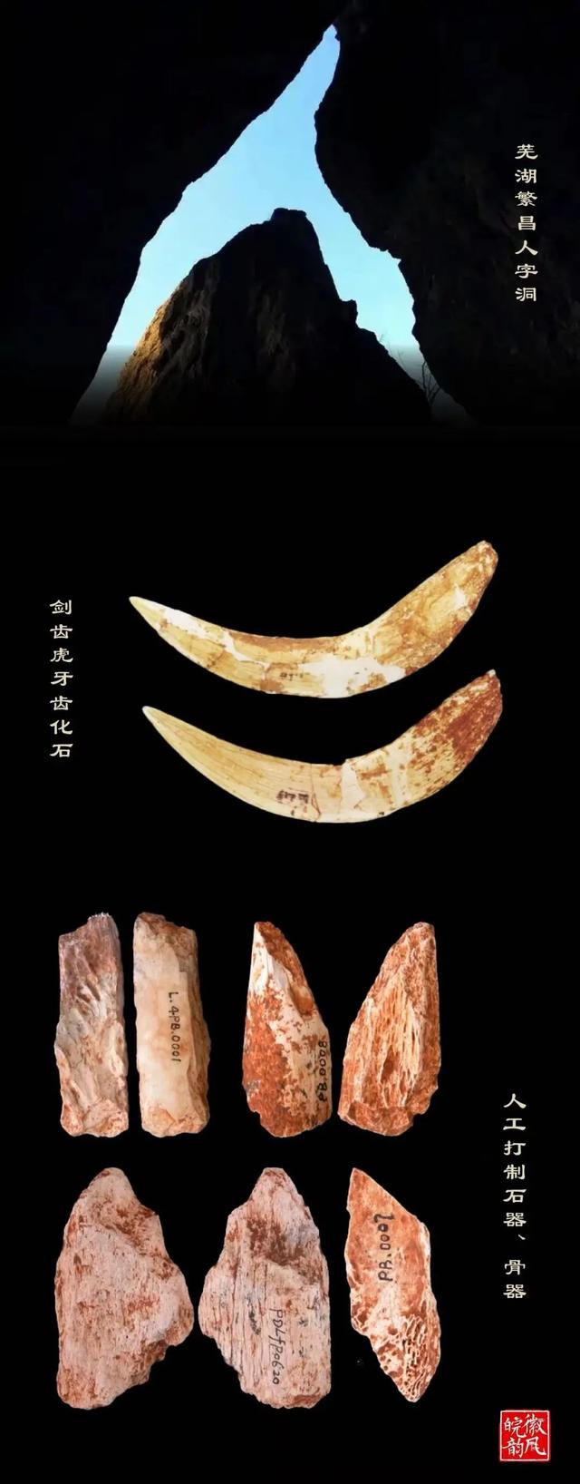 长江入皖八百里：山河是底色，人文是妙笔，生灵是彩蛋