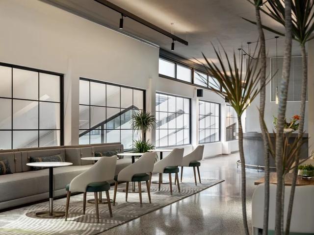 热搜！寒潮收尾！周末最高21℃！来光明东滩源、黄山茶林场兜兜…最低2折特惠！太值了！