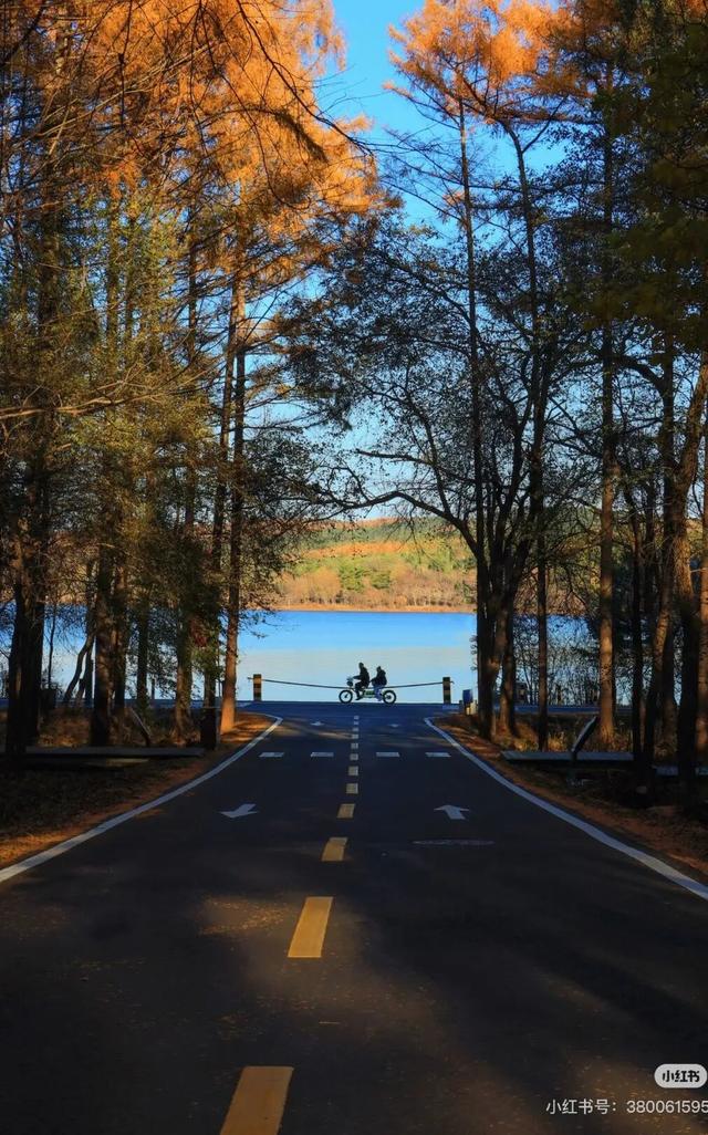 一半秋色在净月潭 另一半在你的镜头里→