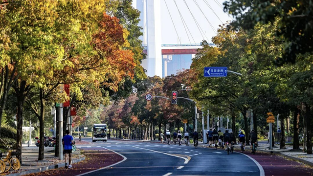 最佳季节！上海市中心也有人少景美骑行线