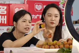 拼多多亮眼业绩背后：“内生价值”如何驱动电商发展图片