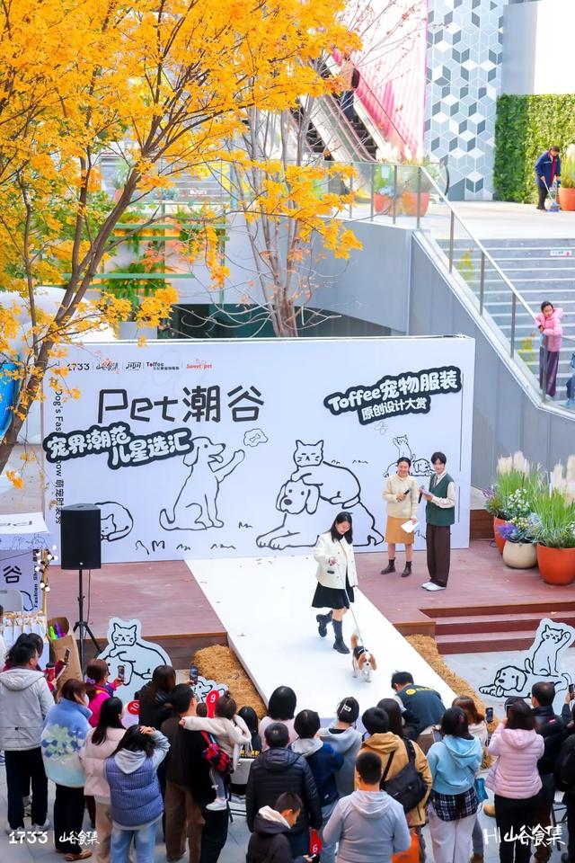 海淀新晋顶流！1733山谷食集升级亮相！美食+自然+社交——