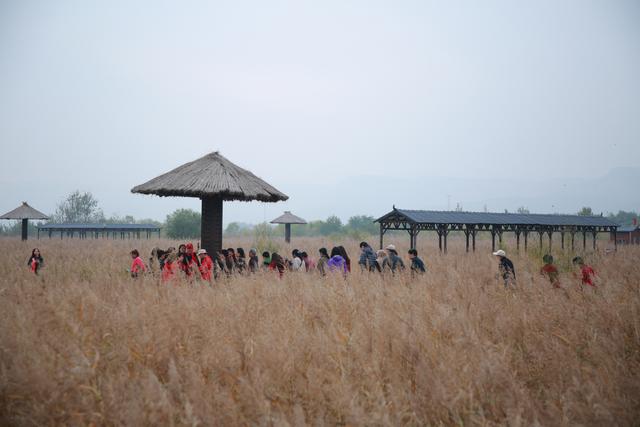 “重阳踏秋·溯古寻风”第二站打卡合阳处女泉：一场兼具诗意与古韵的文旅体验