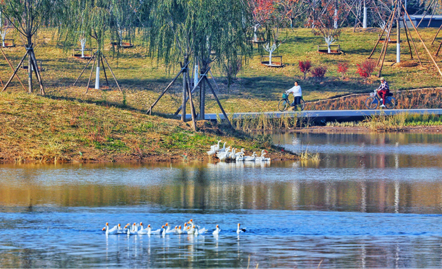 坝河15公里游船航线今天试航！明年游客有望乘船去往城市副中心
