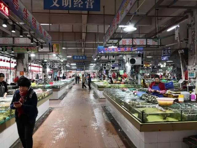 超强攻略！六大活动、六大夜市、九大海鲜市场等你探秘2025北部湾开海节！
