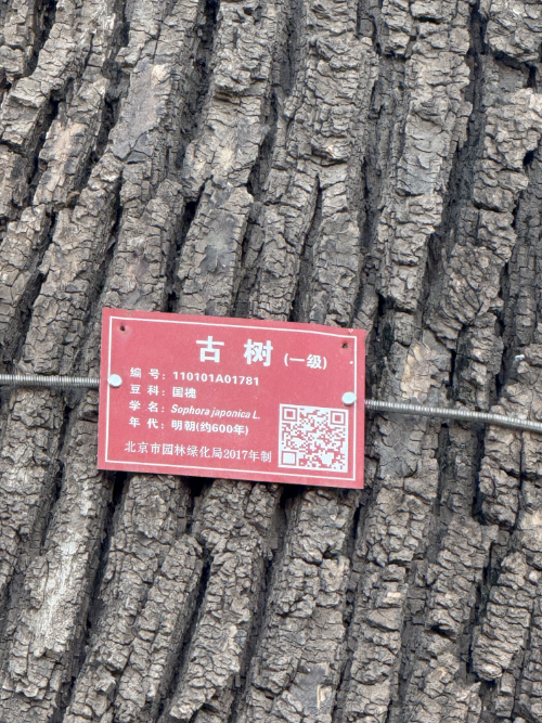 去故宫只看宫殿？这些“活文物”，错过等于白去！