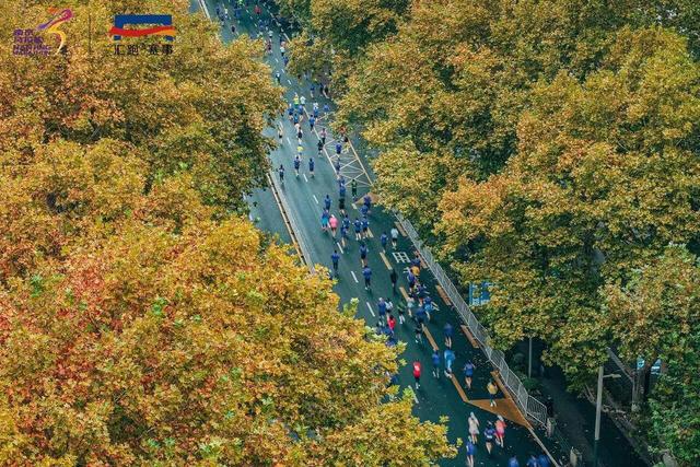 秋光正好，金陵邀约：南马选手景区&交通福利公布！