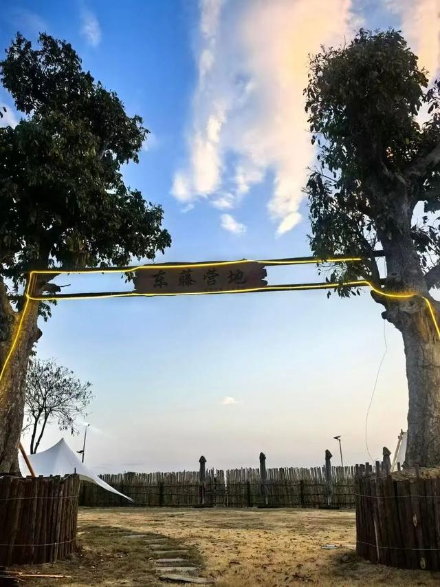 十里花卉长廊亲子游线路：邂逅自然与书香的奇妙之旅