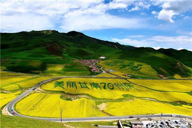 【文旅新地标】红山口万亩油菜花海丨甘南高原金色花田