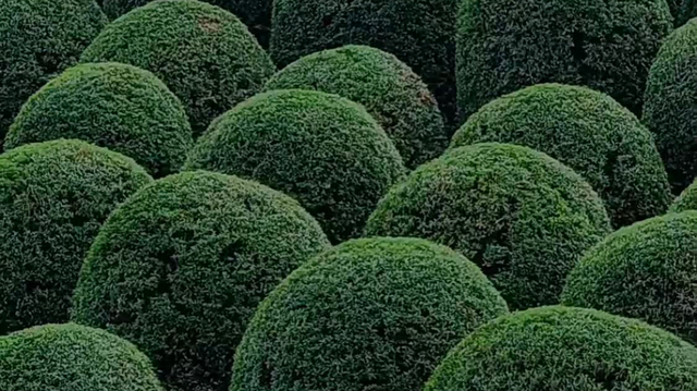 余杭“秋日恋歌”打卡地图出炉！