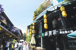 昆明盛夏 蘑力四射