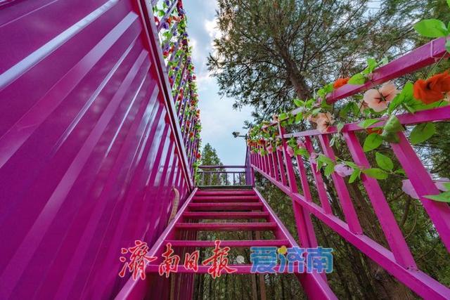 一年四季 泉在济南丨红叶谷打造全新露营地，解锁花间旅游新玩法