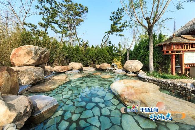 好客山东美食争霸赛 | 图览山海“饺”好运！