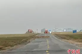 可可西里藏羚羊产仔后第一批开始回迁图片