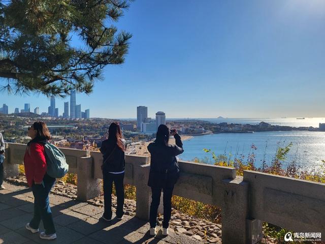 山海冬韵 鸥遇青岛！这个冬日 青岛文旅将带来多重惊喜