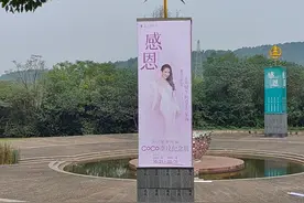 著名歌手李玟今日将安葬于武汉，园内设置李玟纪念展图片