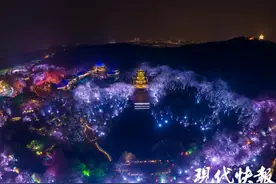 夜樱正灿！无锡鼋头渚夜赏樱花游园会开启图片