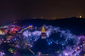 夜樱正灿！无锡鼋头渚夜赏樱花游园会开启图片