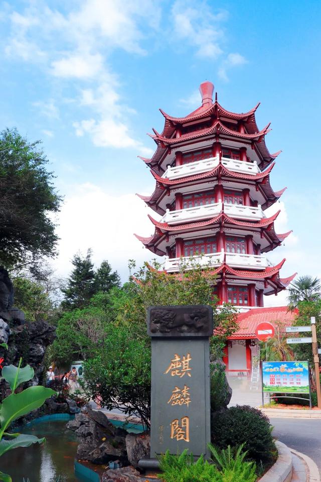 岁岁重阳暖三明！登高赏秋、品茗叙旧，这份适老活动指南请收好