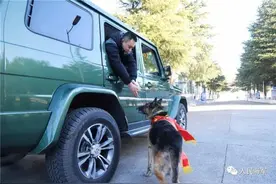 海军战士和军犬一同退役，离别时这一幕破防了图片
